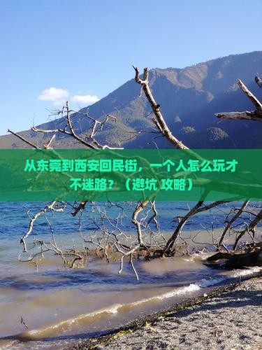 东莞到西安回民街个人游