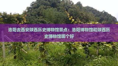 洛阳去西安陕西历史博物馆景点