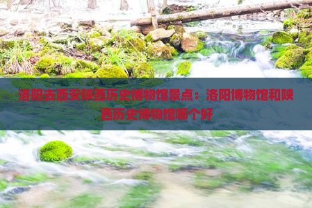洛阳去西安陕西历史博物馆景点