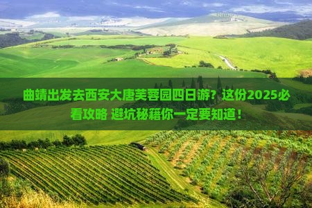 曲靖去西安大唐芙蓉园四日游