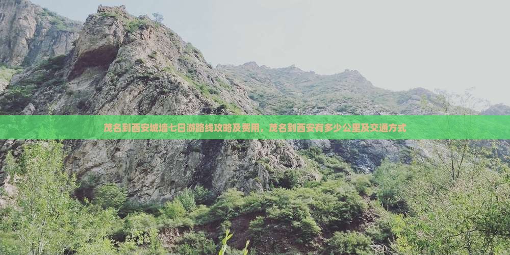 茂名到西安城墙七日游