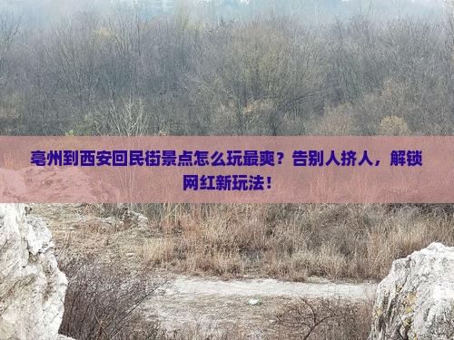亳州到西安回民街景点