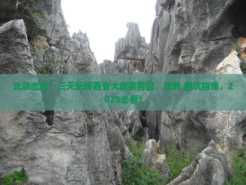 北京到西安大唐芙蓉园三日游
