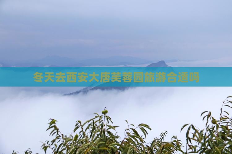 冬天去西安大唐芙蓉园旅游