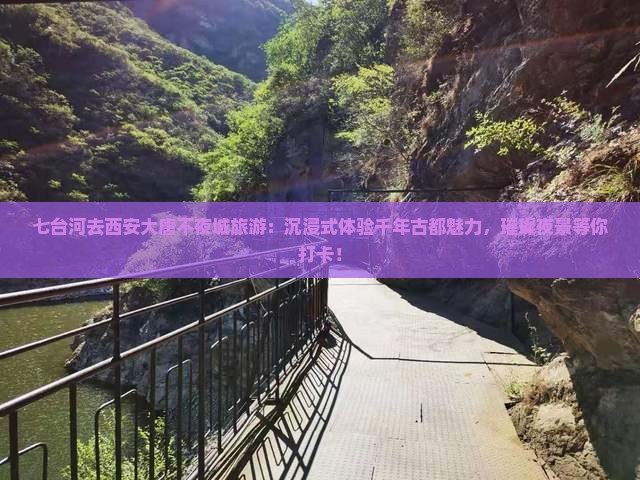 七台河去西安大唐不夜城旅游