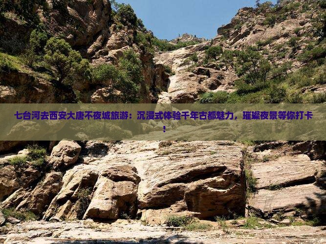 七台河去西安大唐不夜城旅游