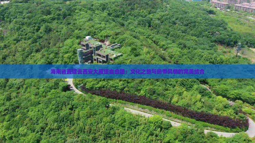 海南省直辖去西安大雁塔自由团