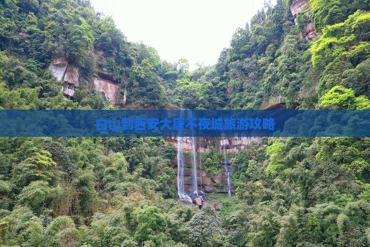 白山到西安大唐不夜城门票