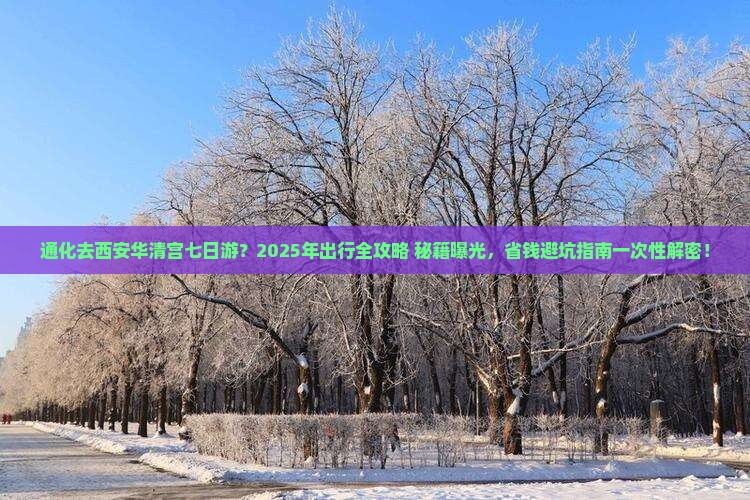 通化去西安华清宫七日游