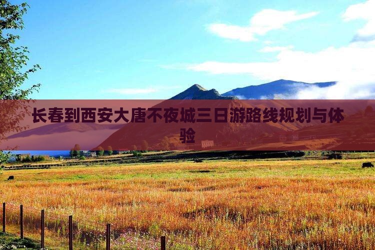 长春到西安大唐不夜城三日游