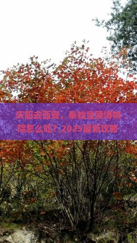 庆阳到西安秦始皇帝陵博物院旅游小吃