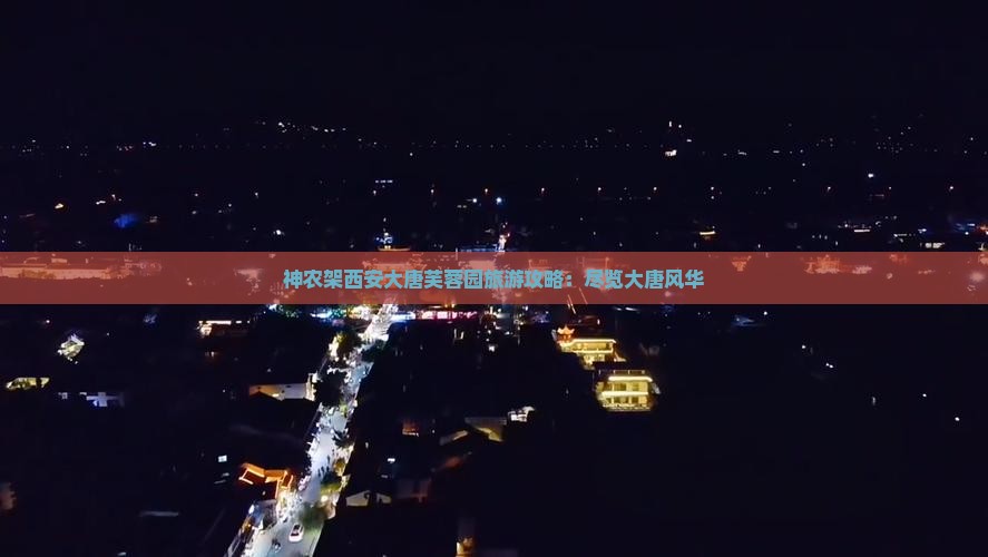 神农架去西安大唐芙蓉园哪里玩
