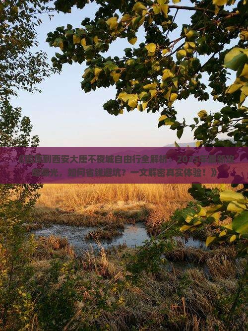 固原到西安大唐不夜城自由团