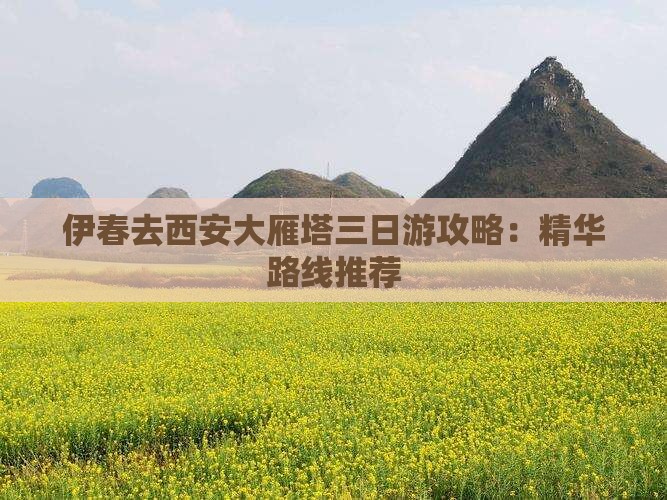 伊春去西安大雁塔三日游