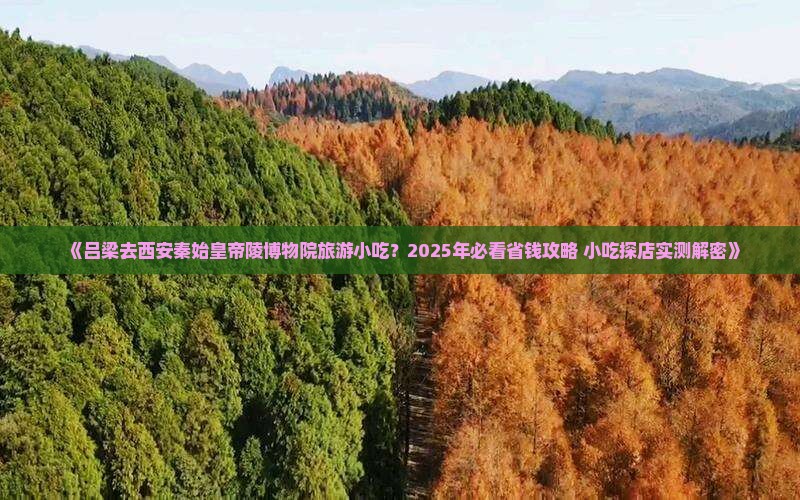 吕梁去西安秦始皇帝陵博物院旅游小吃