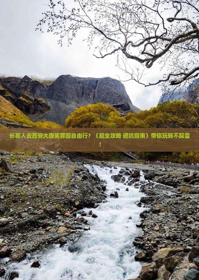 长葛去西安大唐芙蓉园自由行