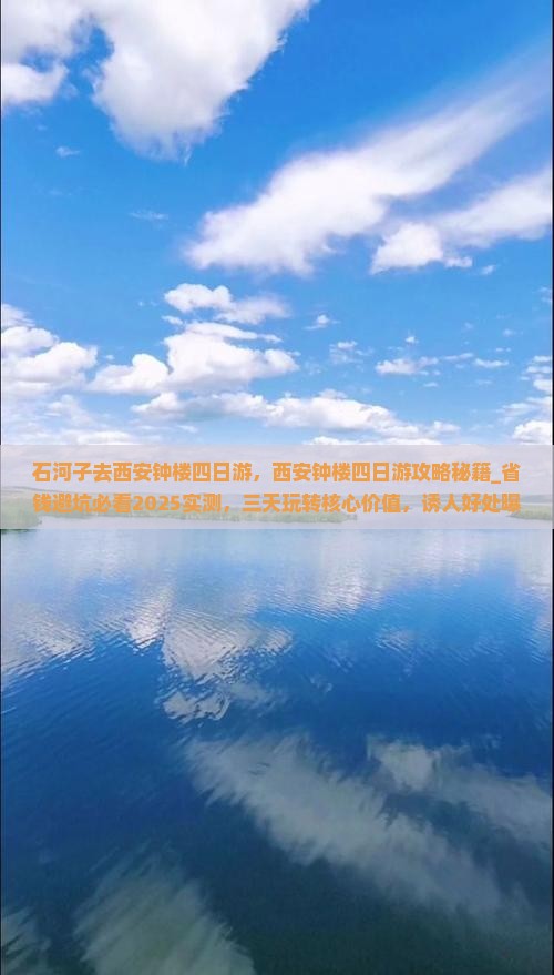 石河子去西安钟楼四日游