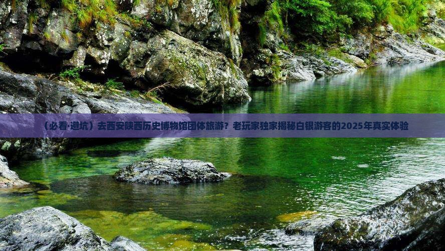 白银去西安陕西历史博物馆团体旅游