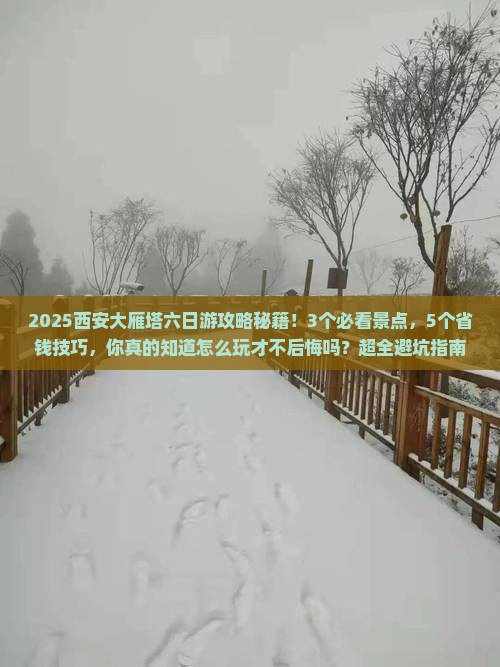 清明节到西安大雁塔六日游