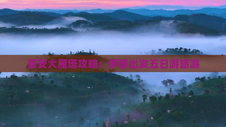 伊春去西安大雁塔五日游