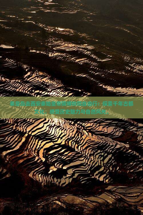 秦皇岛去西安秦始皇帝陵博物院自由行