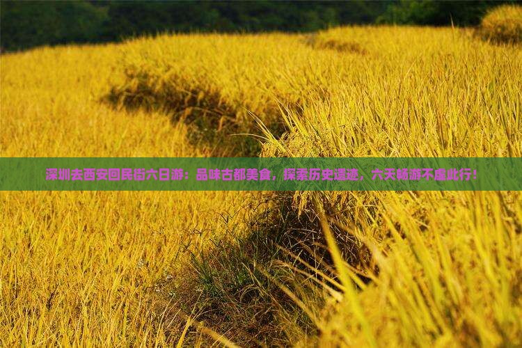 深圳去西安回民街六日游