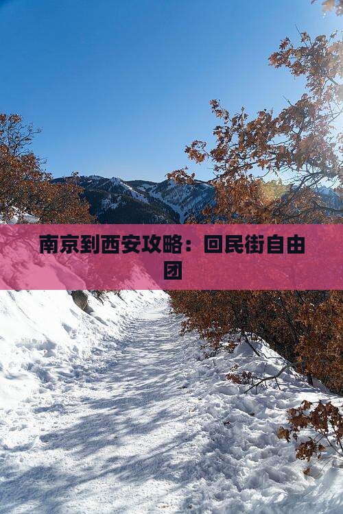 南京到西安回民街自由团