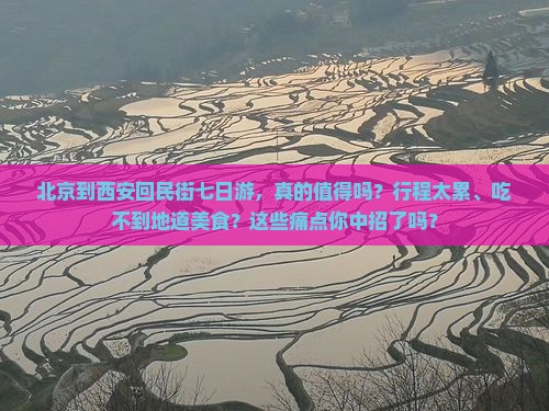 北京到西安回民街七日游