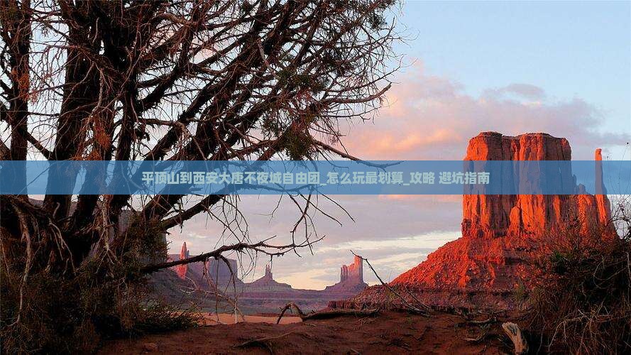 平顶山到西安大唐不夜城自由团