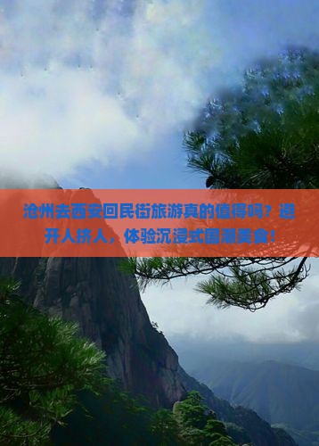 沧州去西安回民街旅游