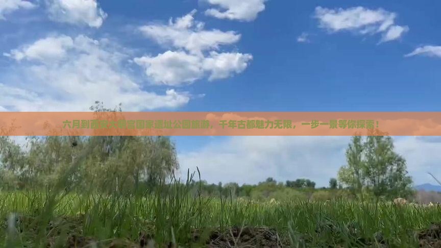 六月到西安大明宫国家遗址公园旅游