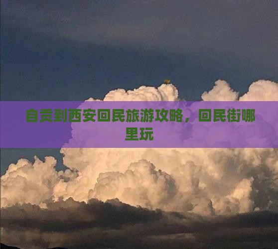 自贡到西安回民街哪里玩