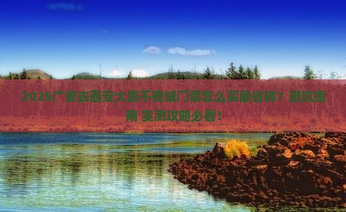 广安去西安大唐不夜城门票