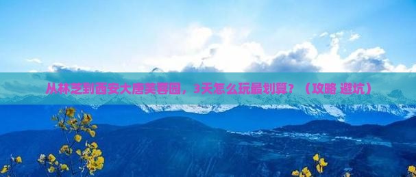 林芝去西安大唐芙蓉园门票