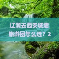 辽源去西安城墙大型旅游团