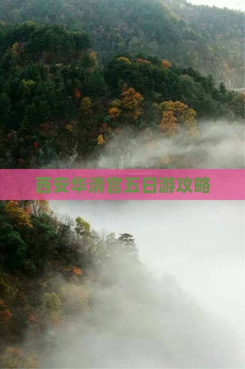 海西到西安华清宫五日游