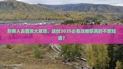 黔南去西安大雁塔大型旅游团