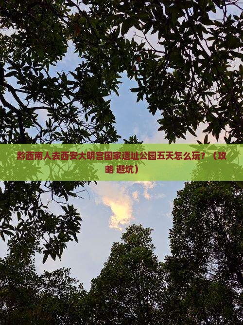 黔西南去西安大明宫国家遗址公园五日游