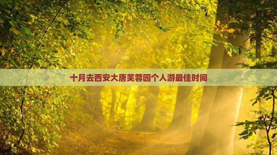 十月去西安大唐芙蓉园个人游