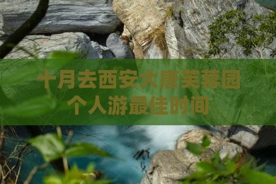 十月去西安大唐芙蓉园个人游