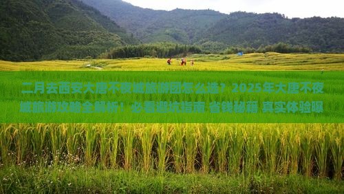 二月去西安大唐不夜城大型旅游团