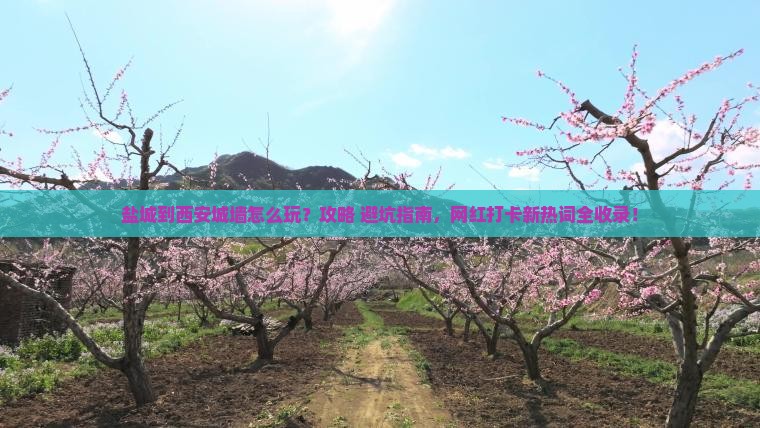 盐城到西安城墙哪里玩