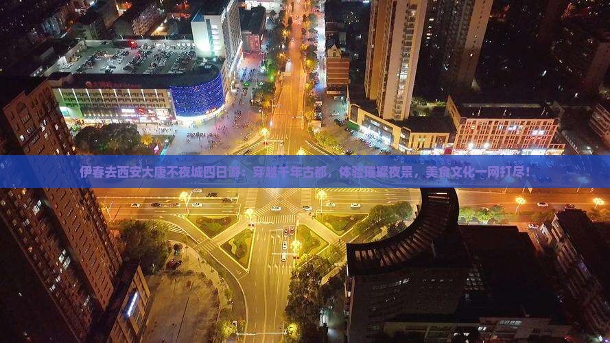 伊春去西安大唐不夜城四日游