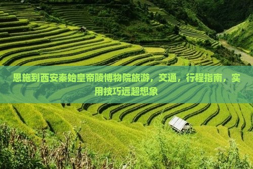 恩施到西安秦始皇帝陵博物院旅游