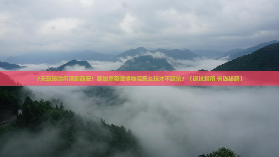 哈尔滨到西安秦始皇帝陵博物院七日游