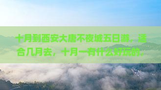 十月到西安大唐不夜城五日游