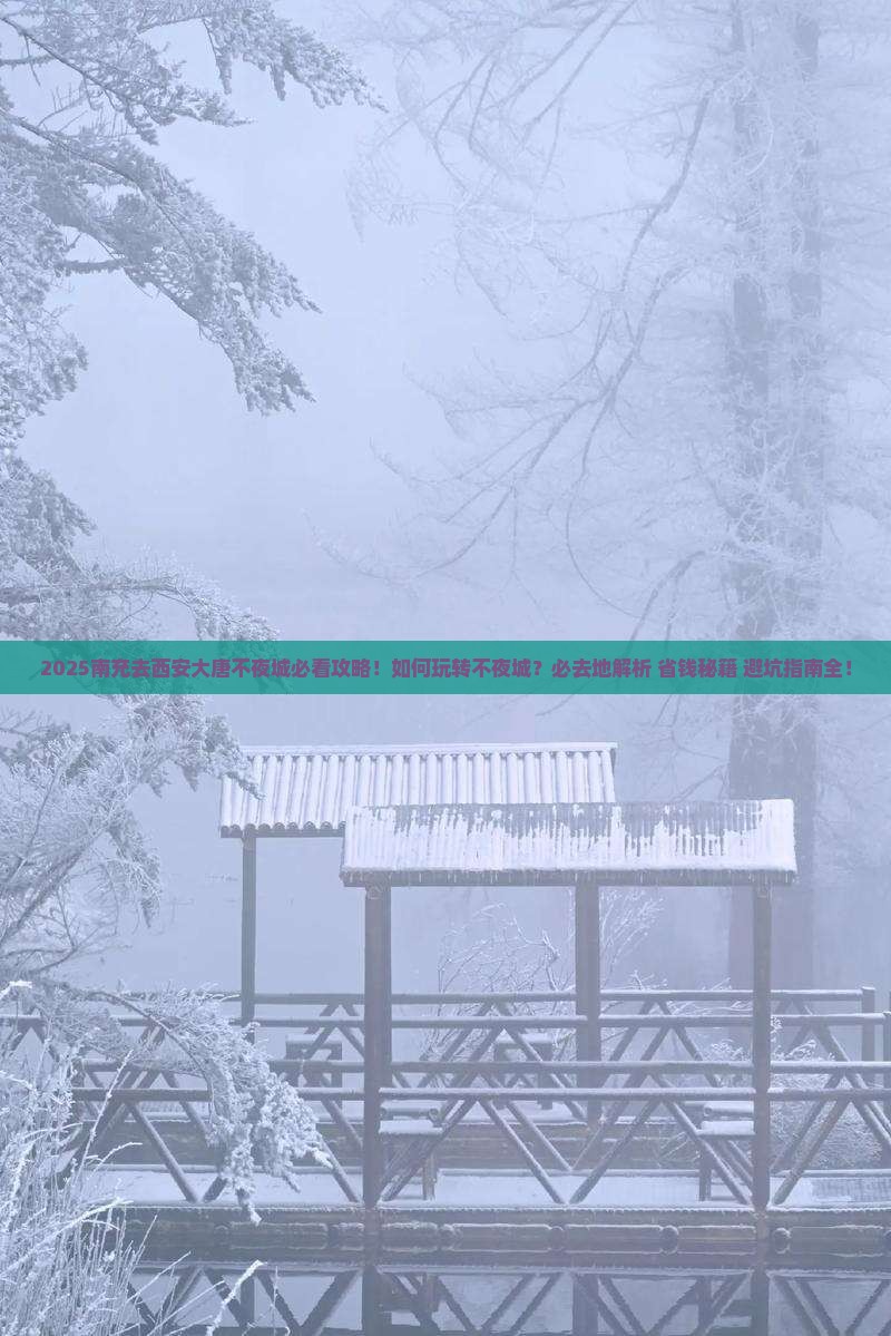 南充去西安大唐不夜城必去地