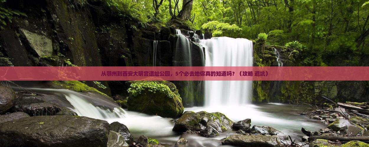 鄂州到西安大明宫国家遗址公园必去地