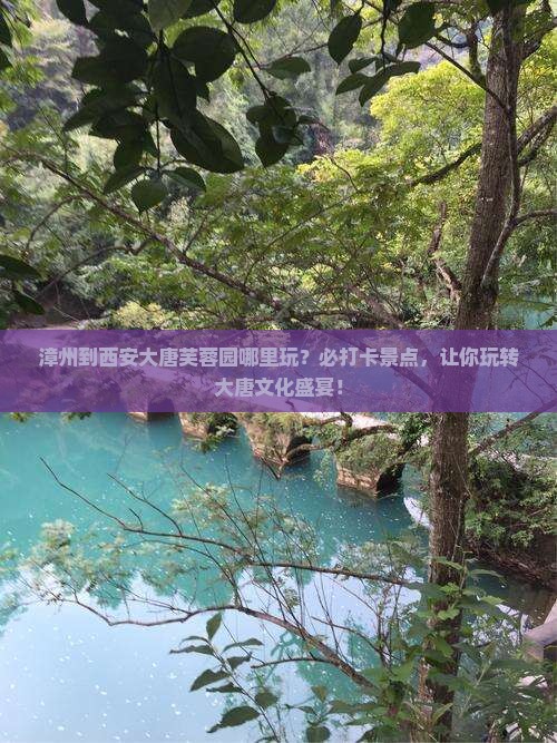 漳州到西安大唐芙蓉园哪里玩