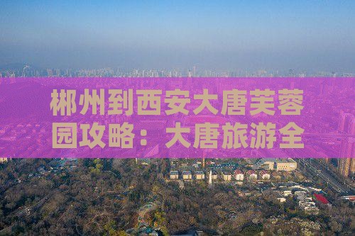 郴州到西安大唐芙蓉园自由团